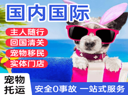 琼海机场快递国际宠物托运 【国